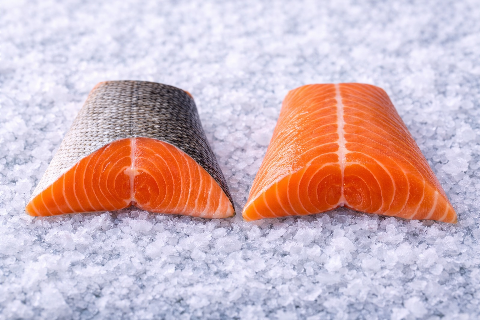 Salmon Tail Fillet Options