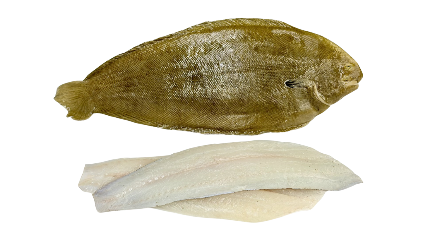 Dover Sole Fillet