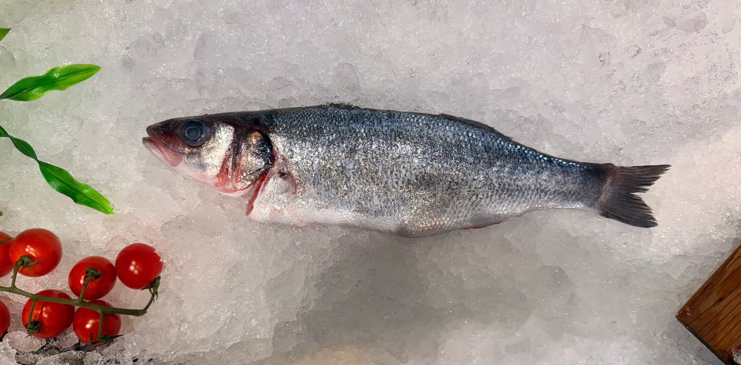 Bronzini Whole